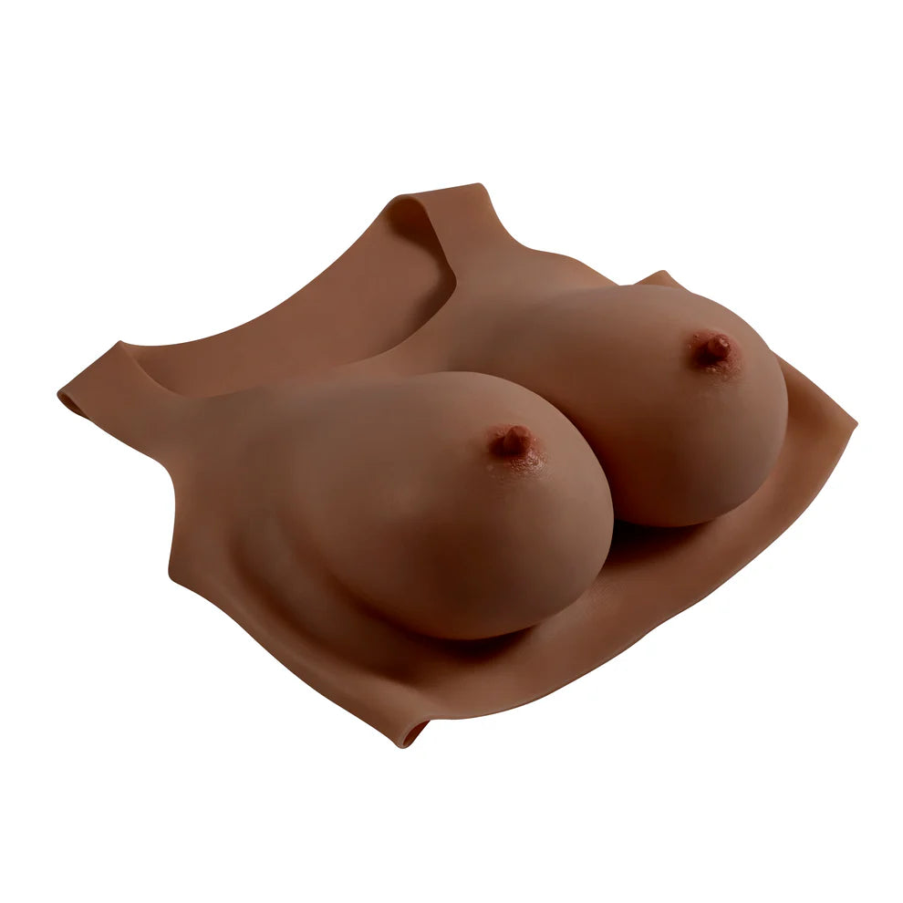 Gender X Undergarments Plate C-Cup-Dark